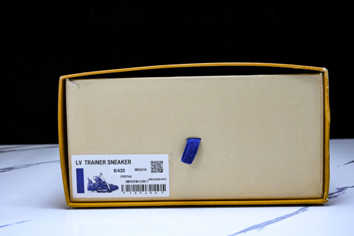Lou1su1tt Skate Sneaker