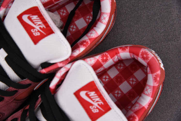 Concepts x NIKE Dunk Low Pro SB“Red Lobster” 313170-661