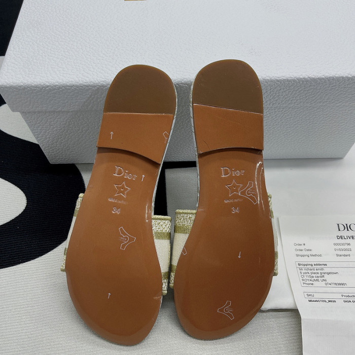 D10R slides