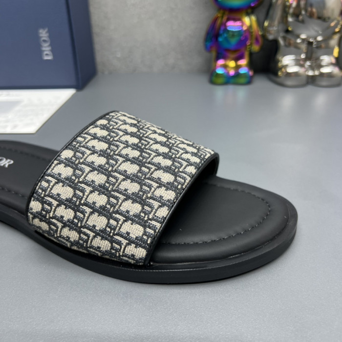 D10R slides