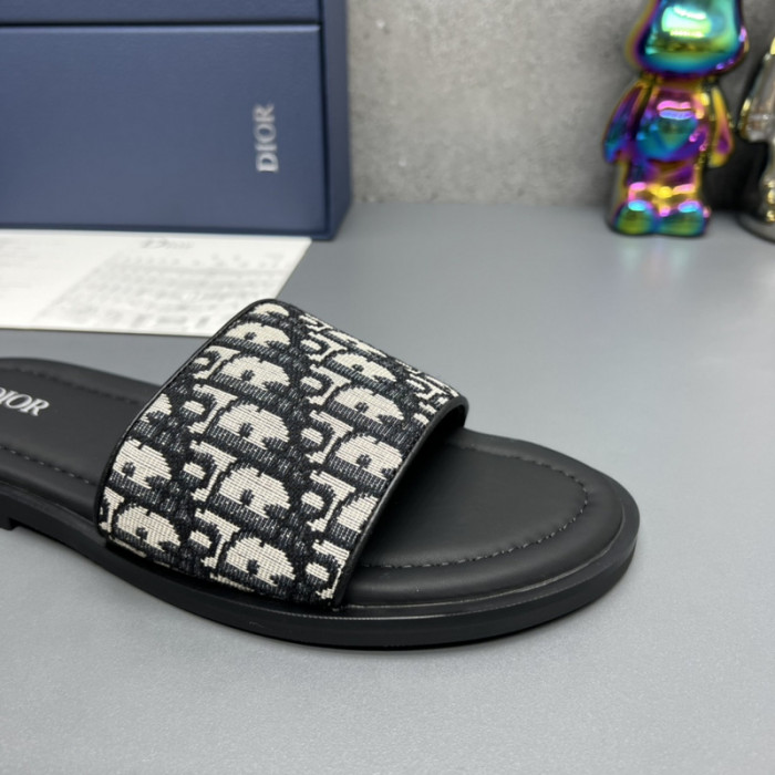 D10R slides