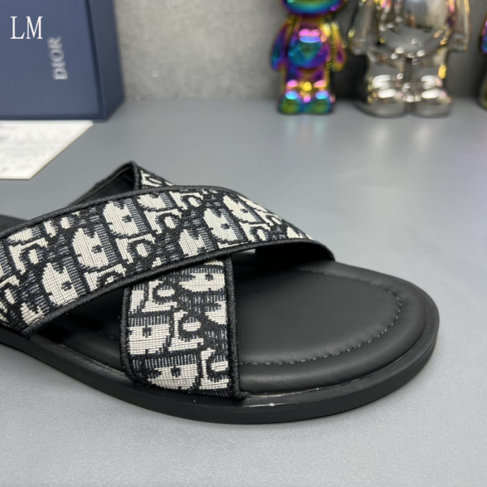 D10R slides