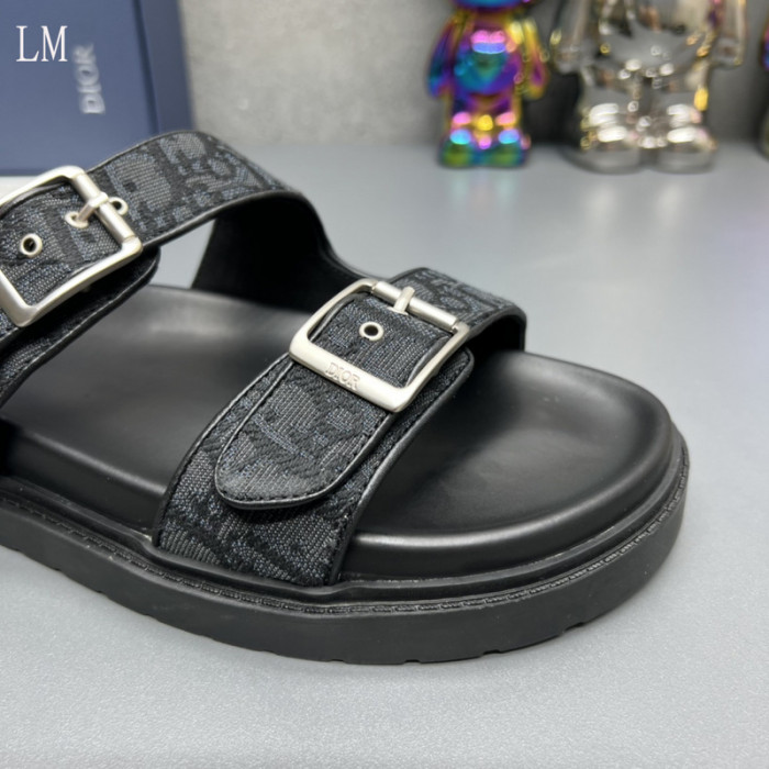 D10R slides