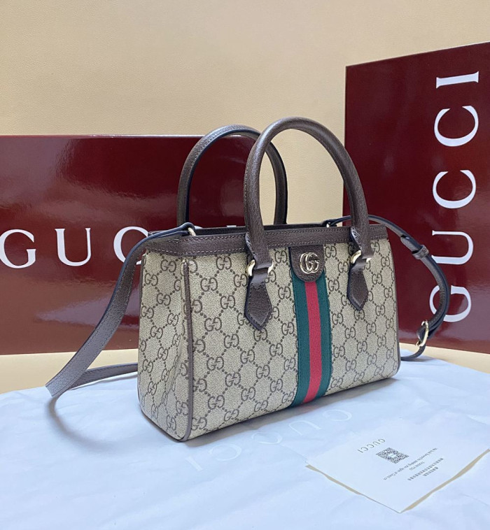 Gu66 BAG 25.5*18*0.5cm