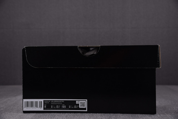 Air Jordan 6 Retro Metallic Silver DX2836-001