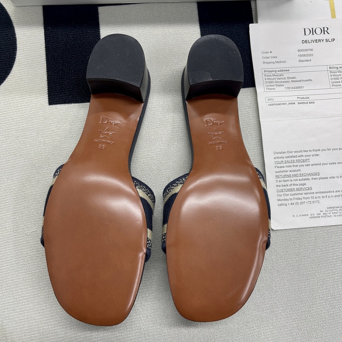 D10R slides