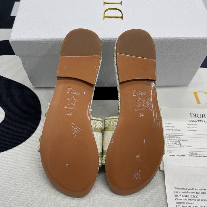 D10R slides