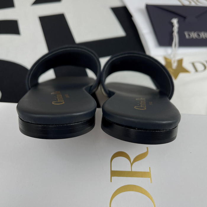 D10R slides