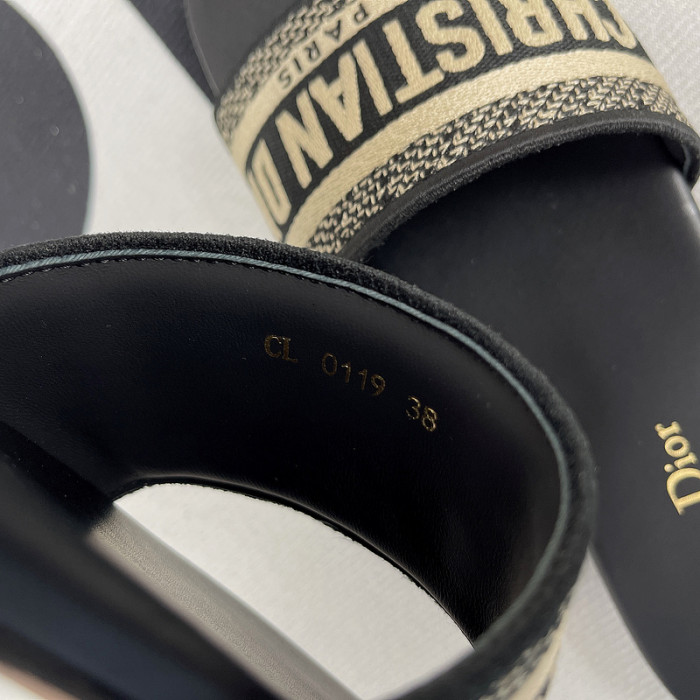 D10R slides