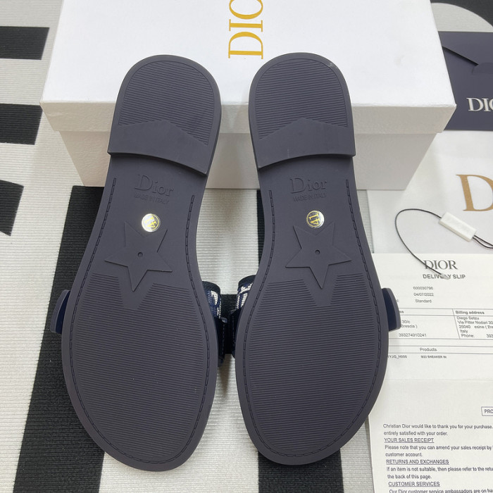 D10R slides