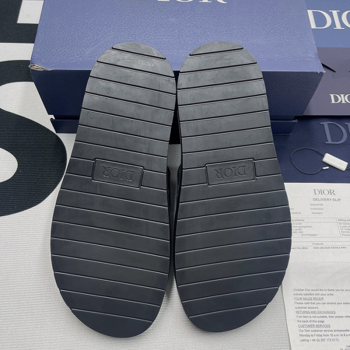 D10R slides