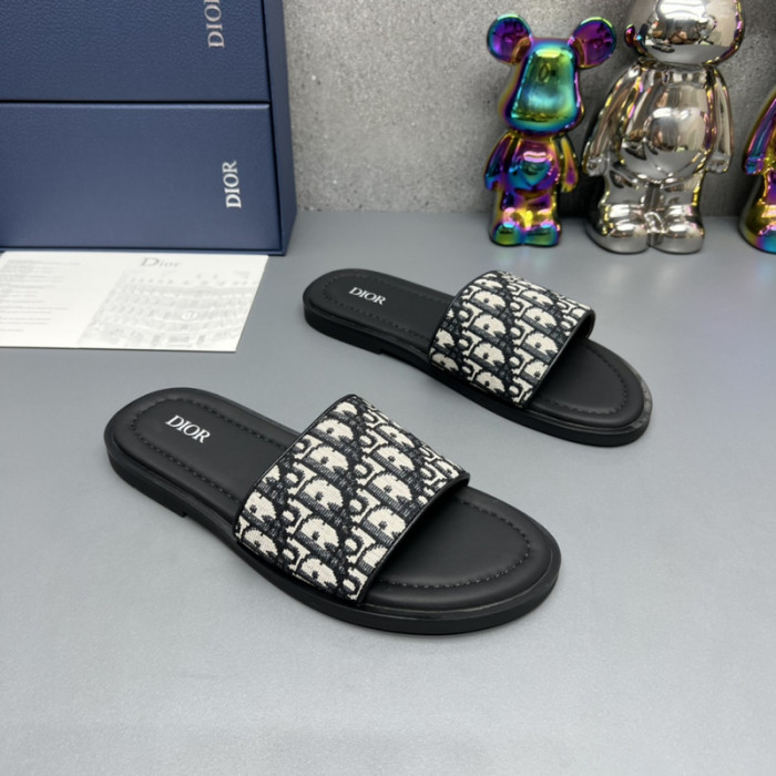 D10R slides