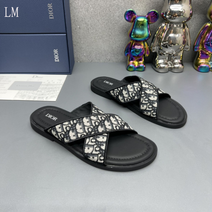 D10R slides