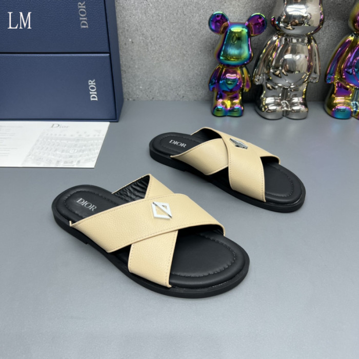 D10R slides
