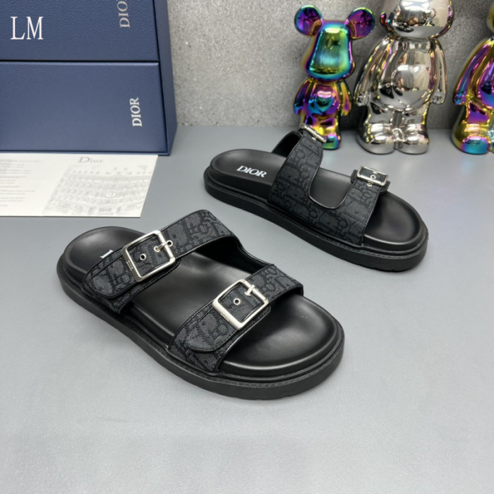 D10R slides