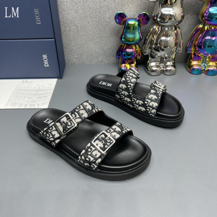 D10R slides