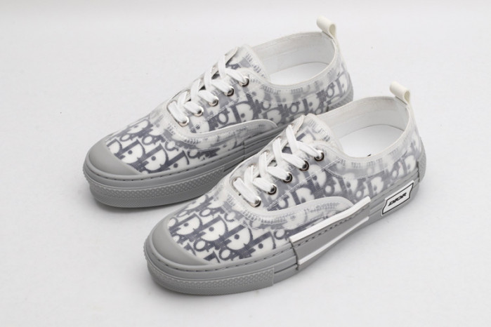 D10R B23 Oblique Low Top Sneaker