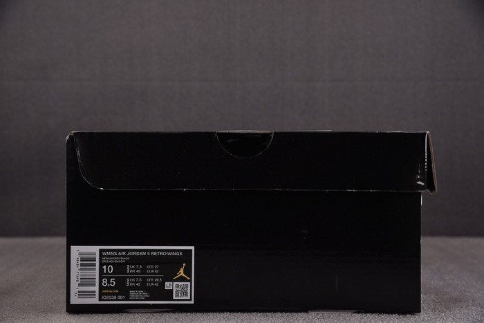 Air Jordan 5 Retro Wings (2025) (Women