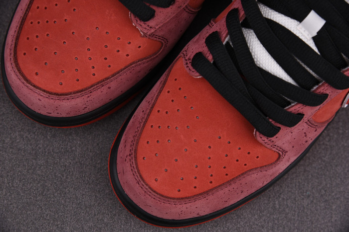 Concepts x NIKE Dunk Low Pro SB“Red Lobster” 313170-661