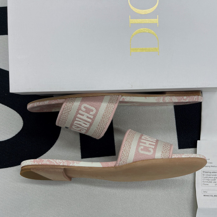 D10R slides