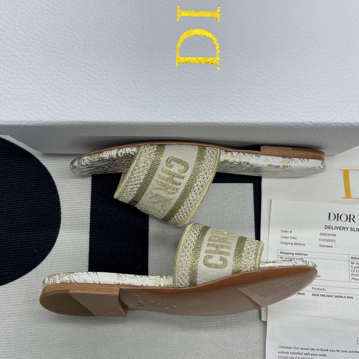 D10R slides