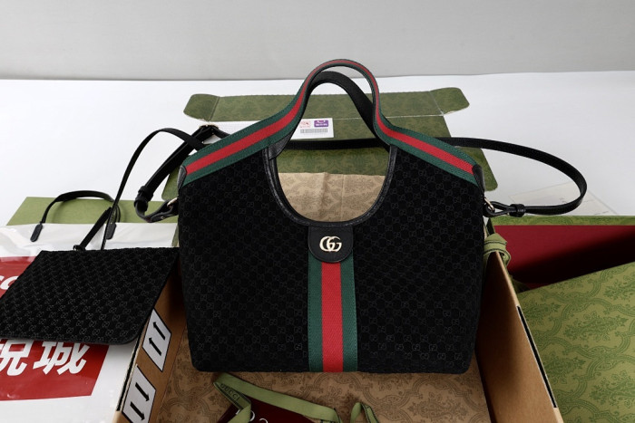 Gu66 BAG 33x28x13cm