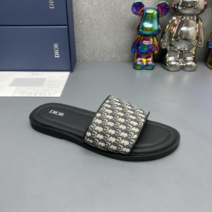 D10R slides