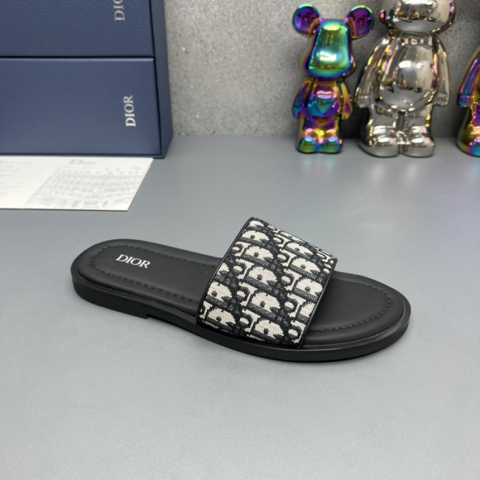 D10R slides