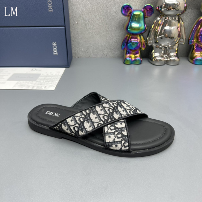 D10R slides