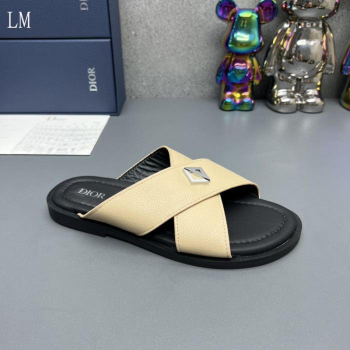 D10R slides