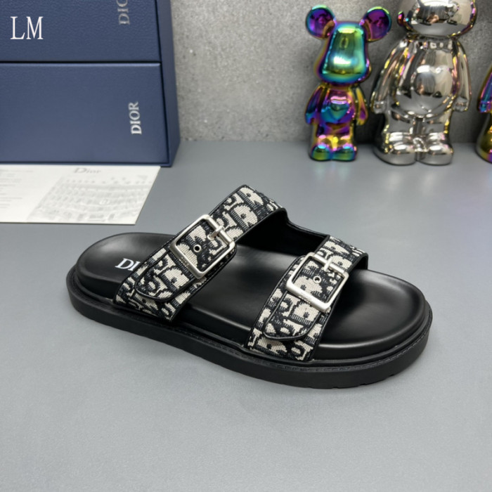 D10R slides