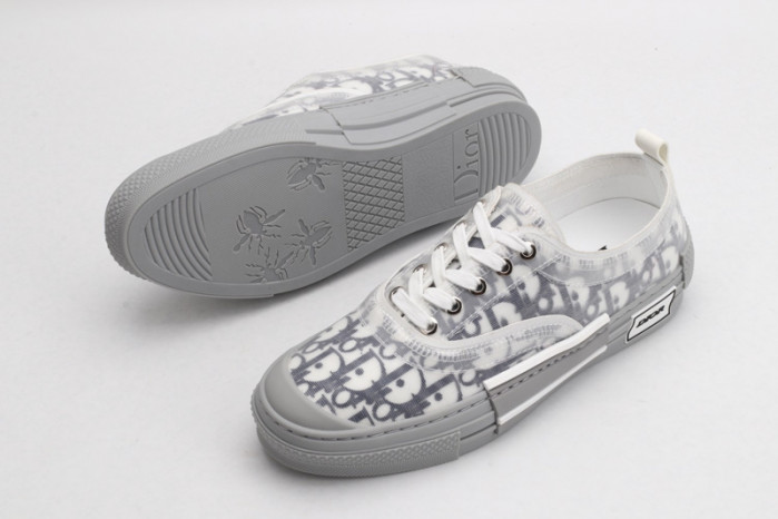 D10R B23 Oblique Low Top Sneaker