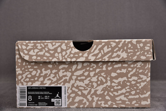 Air Jordan 3 Desert Cement CT8532-008