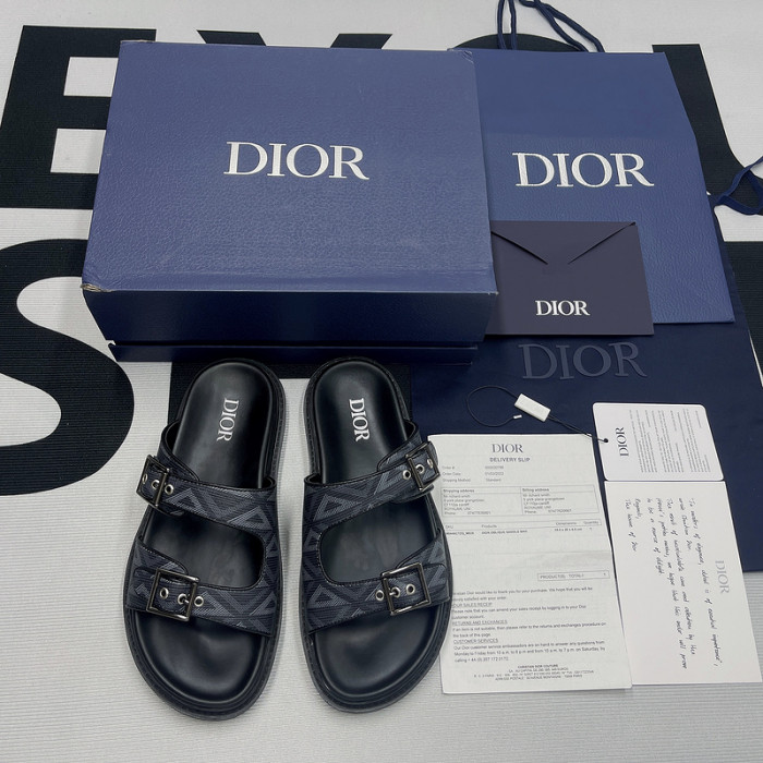 D10R slides