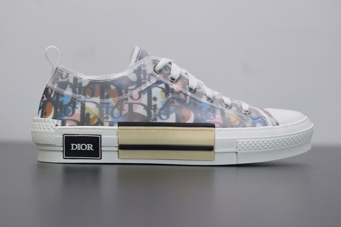 D10R B23 Oblique Low Top Sneakers L00N4