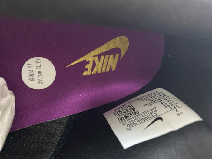 Nike Dunk Low Viotech (2019) CT5050-500