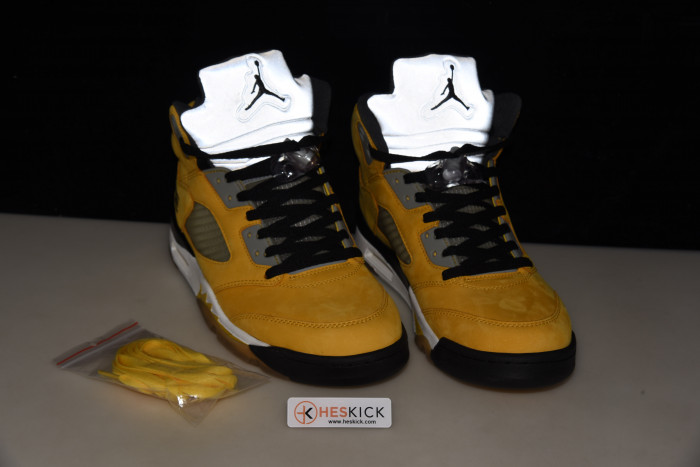 AIR JORDAN 5 RETRO TOKYO T23 454783-701