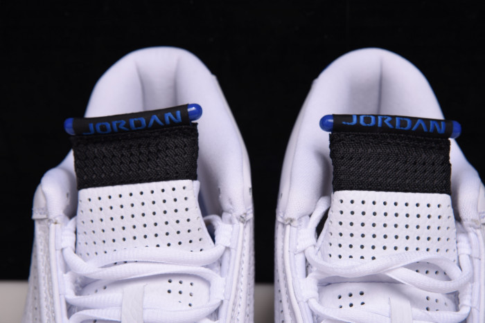 Air Jordan 14’Hyper Royal’