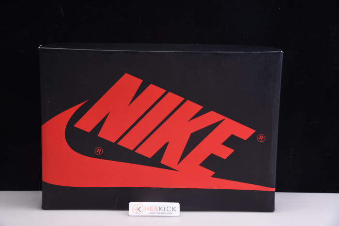 Air Jordan 1 Twist (Panda) CD0461-007