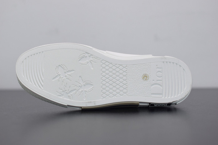 D10R B23 Oblique Low Top Sneakers L00N4