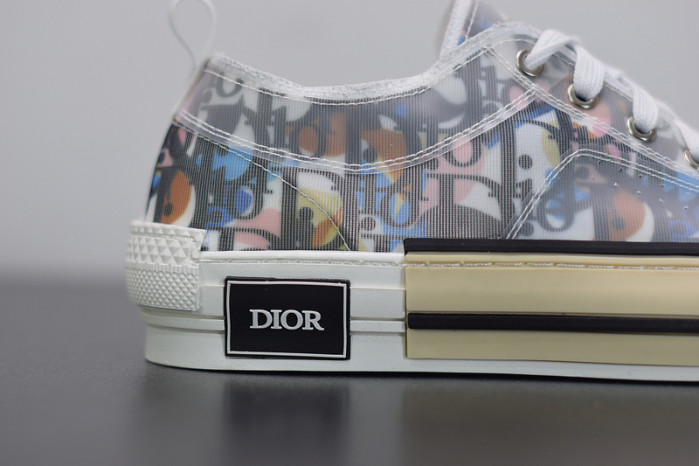 D10R B23 Oblique Low Top Sneakers L00N4